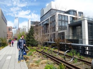 Manhattan, High Line: una bellissima passeggiata