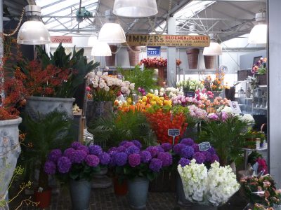 Amsterdam, il mercato dei fiori