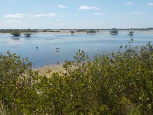 Florida a misura di bambino: Black Point Wildlife Drive