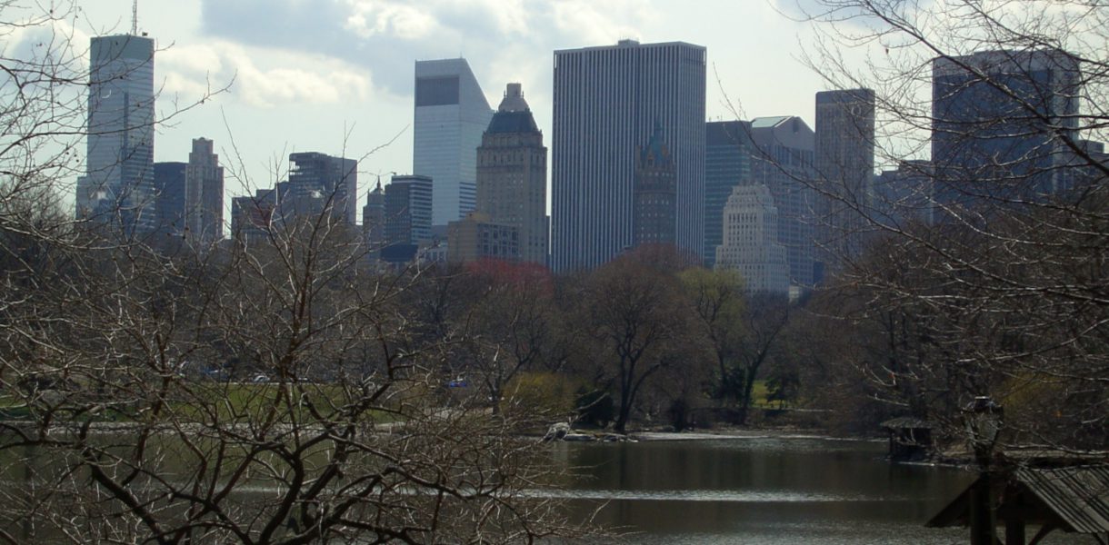 New York vista dal Central Park