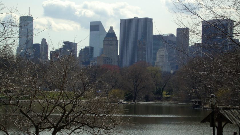 New York vista dal Central Park