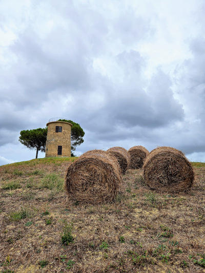 montescudaio
