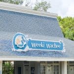 Weeki Wachee: la casa delle sirene in Florida